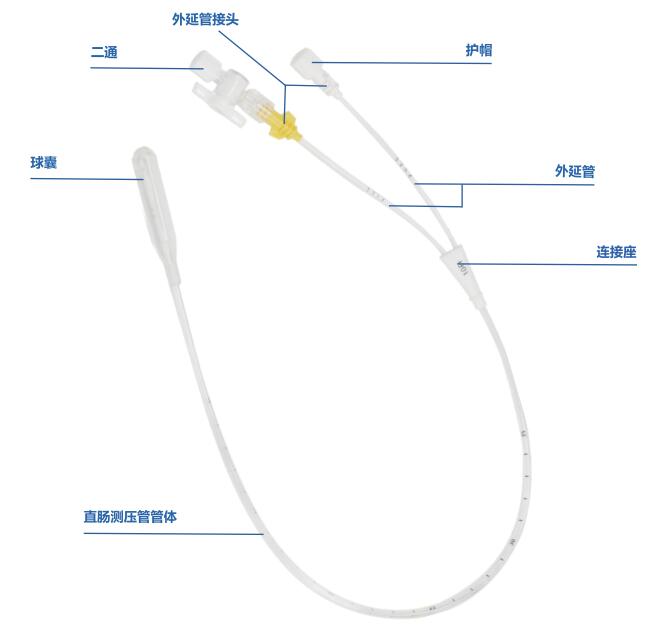 直肠测压导管结构组成图